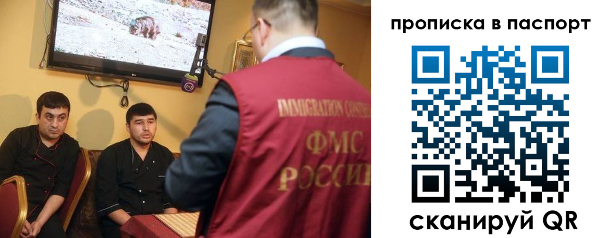 прописка в Волосово